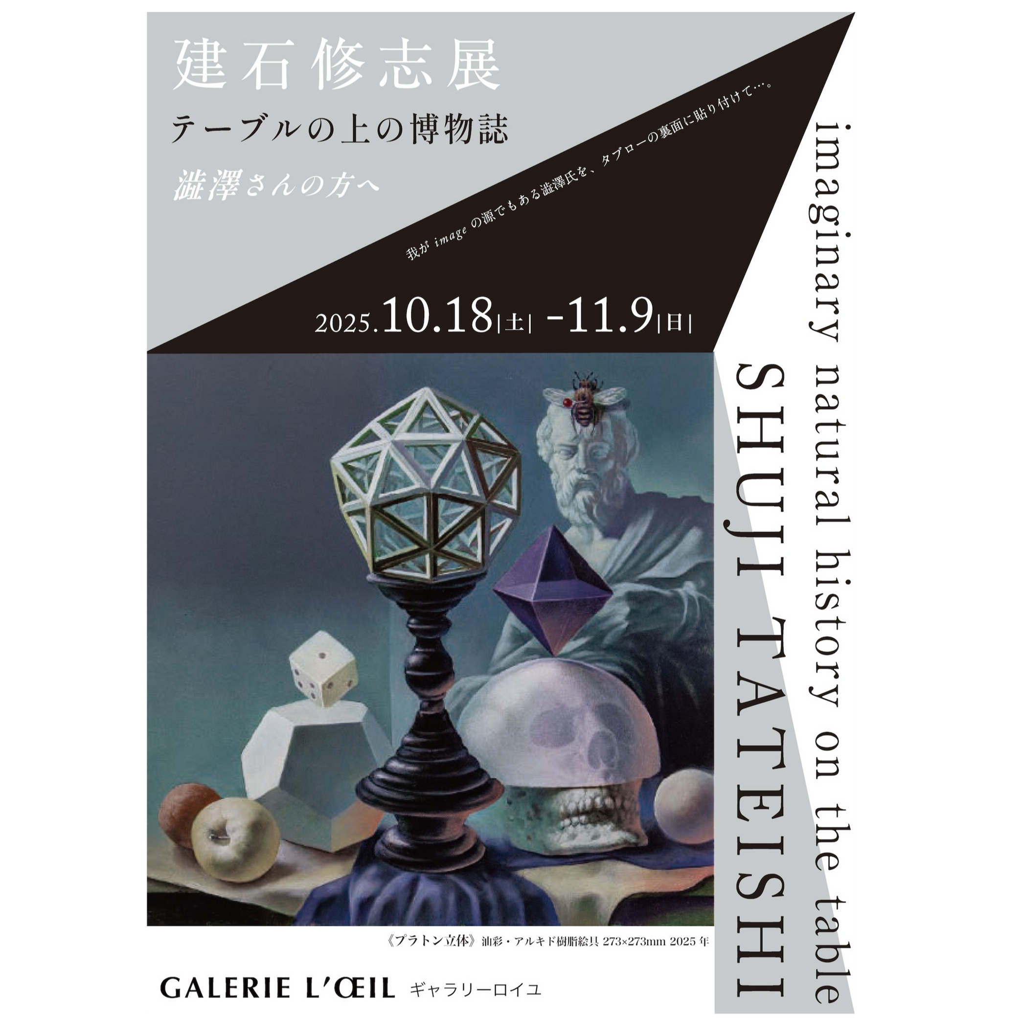 建石修志展《テーブルの上の博物誌ー澁澤さんの方へ》